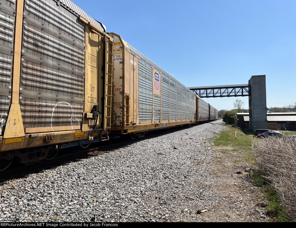 TTGX 715072